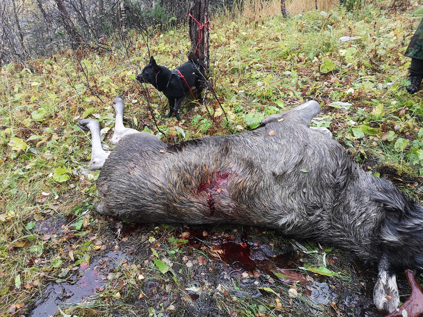 HEKs filmkonkurranse 2019