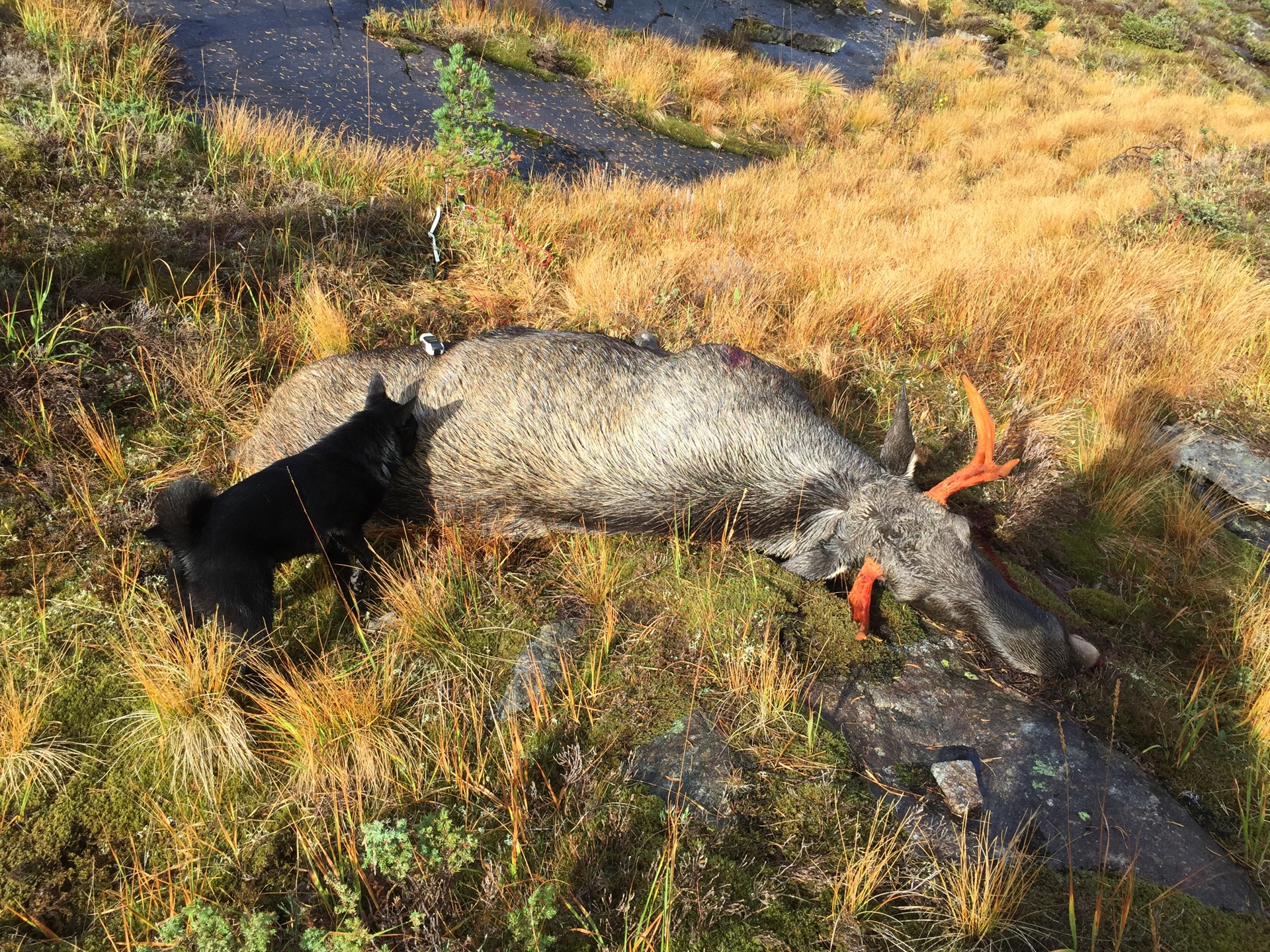 Vinner av filmkonkurransen 2020