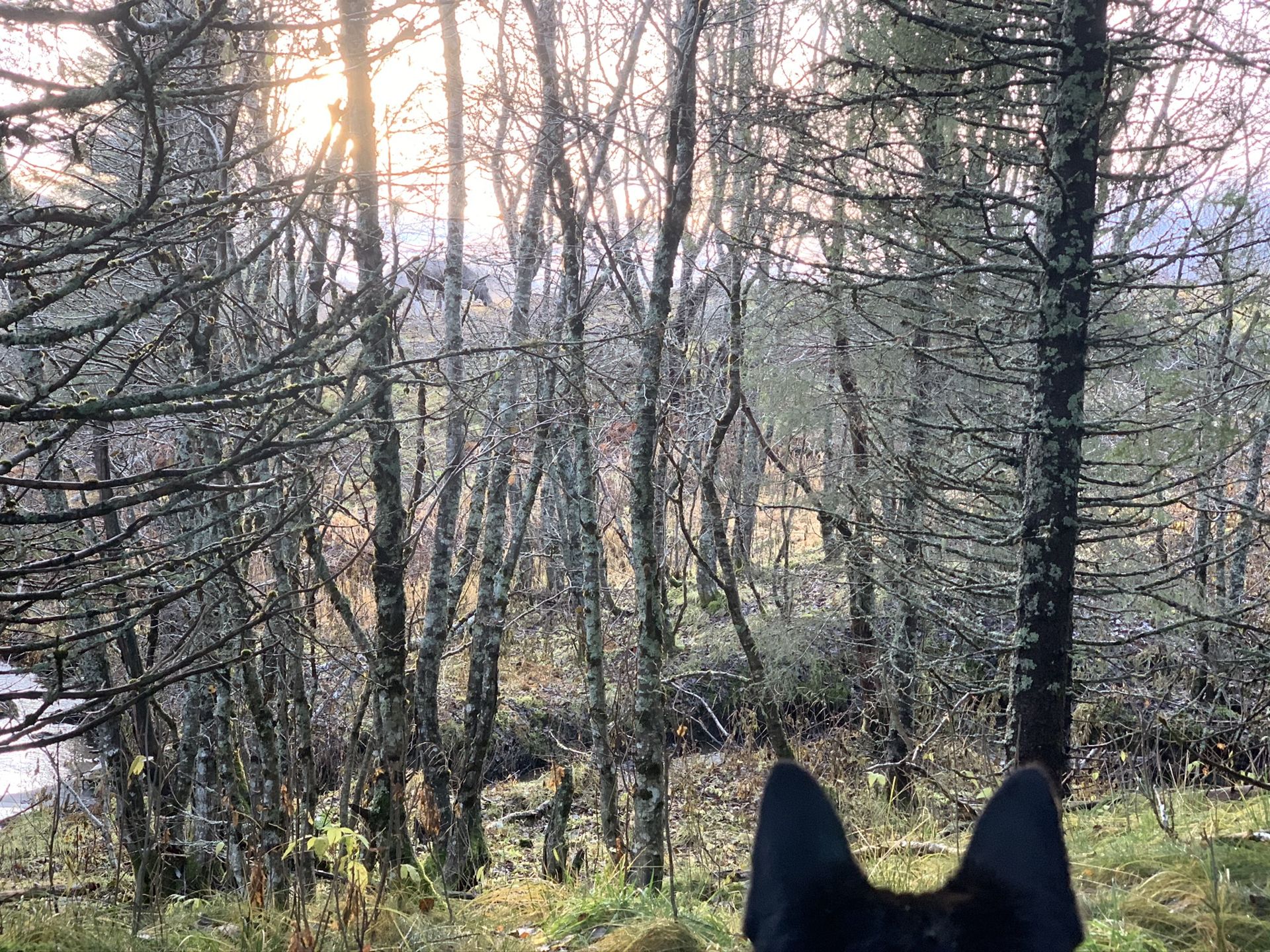 Påmeldinger til prøver 2021