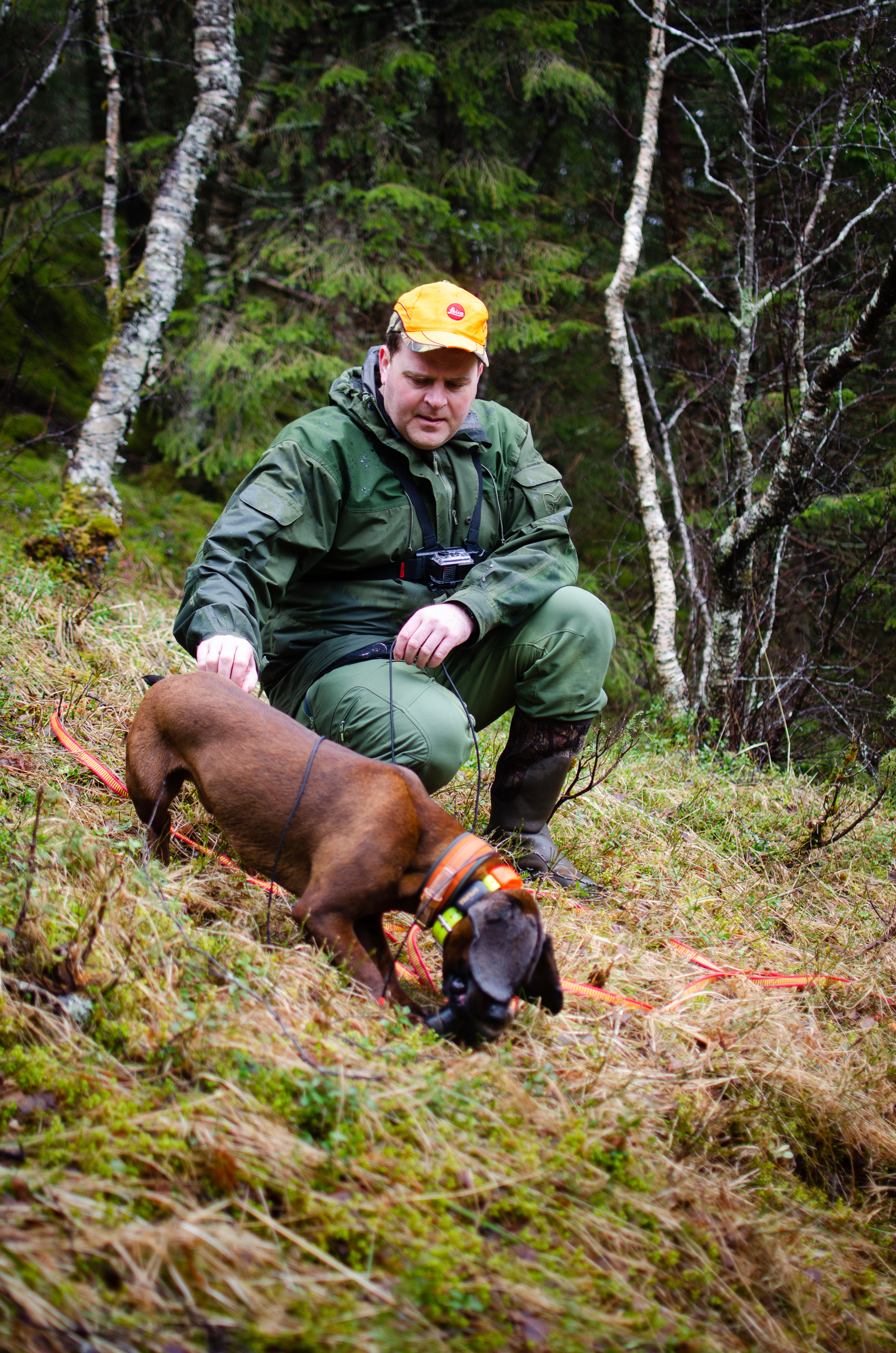 Veiledning til arrangører for prøver og aktivitete