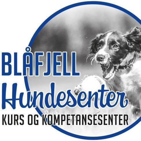 Blodsporseminar 2020