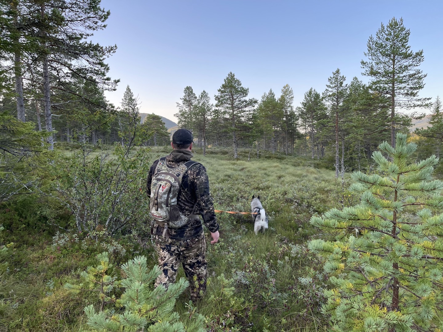 Resultater Velfjordprøven 2021