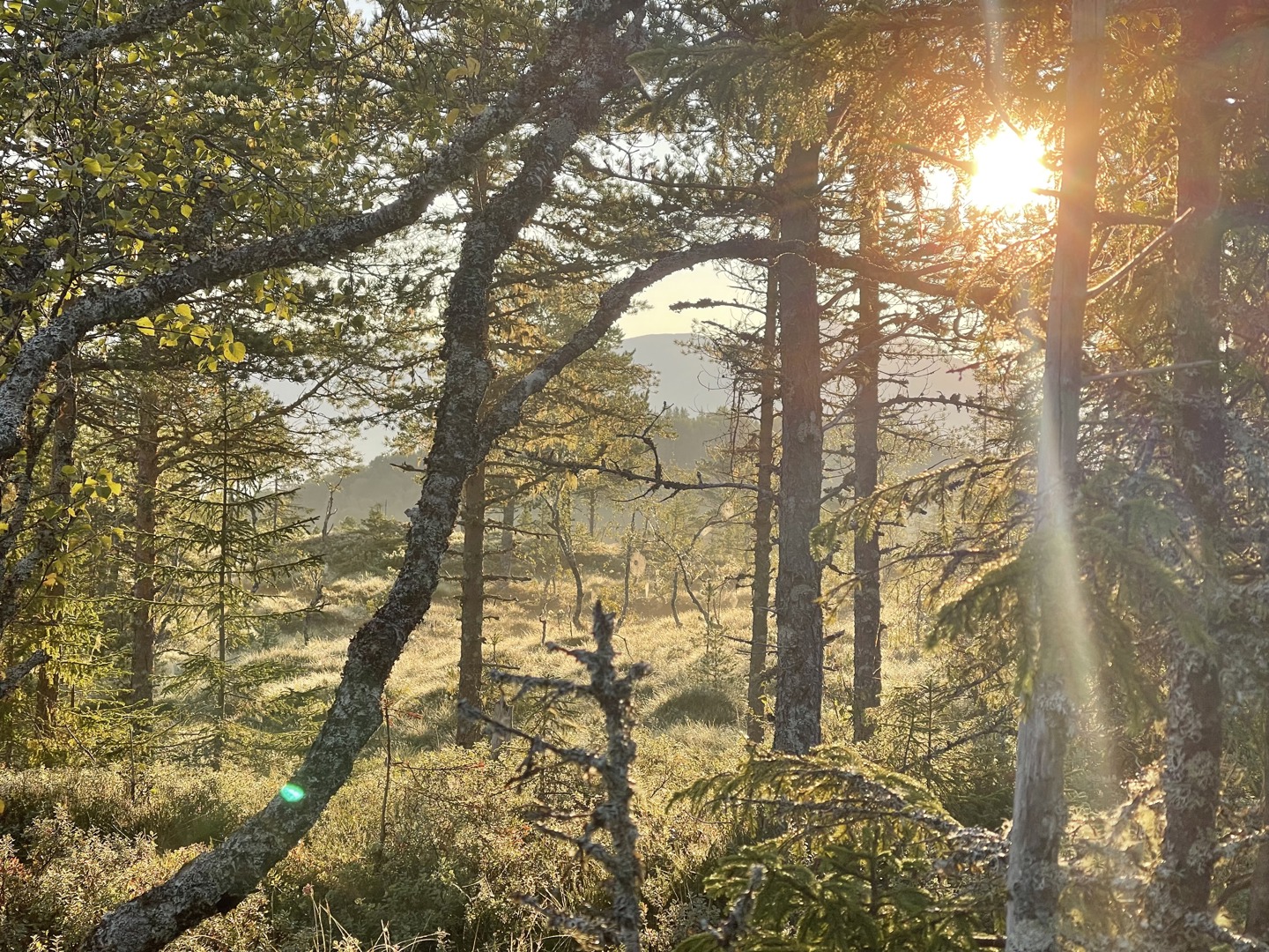 Innkalling årsmøte 2021